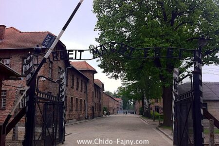 The Day I Went to Auschwitz | a Sad but Enriching Experience - Chido-Fajny